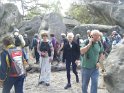 2014-06-05 10-36-37 Foret de Fontainebleau VGa